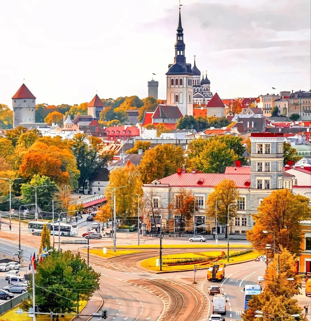 爱沙尼亚塔林大学图片