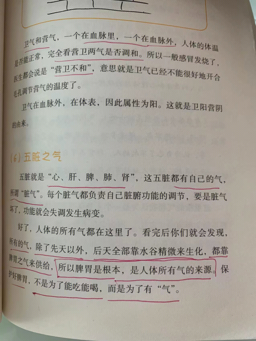 打卡学习中医基础知识关于气一