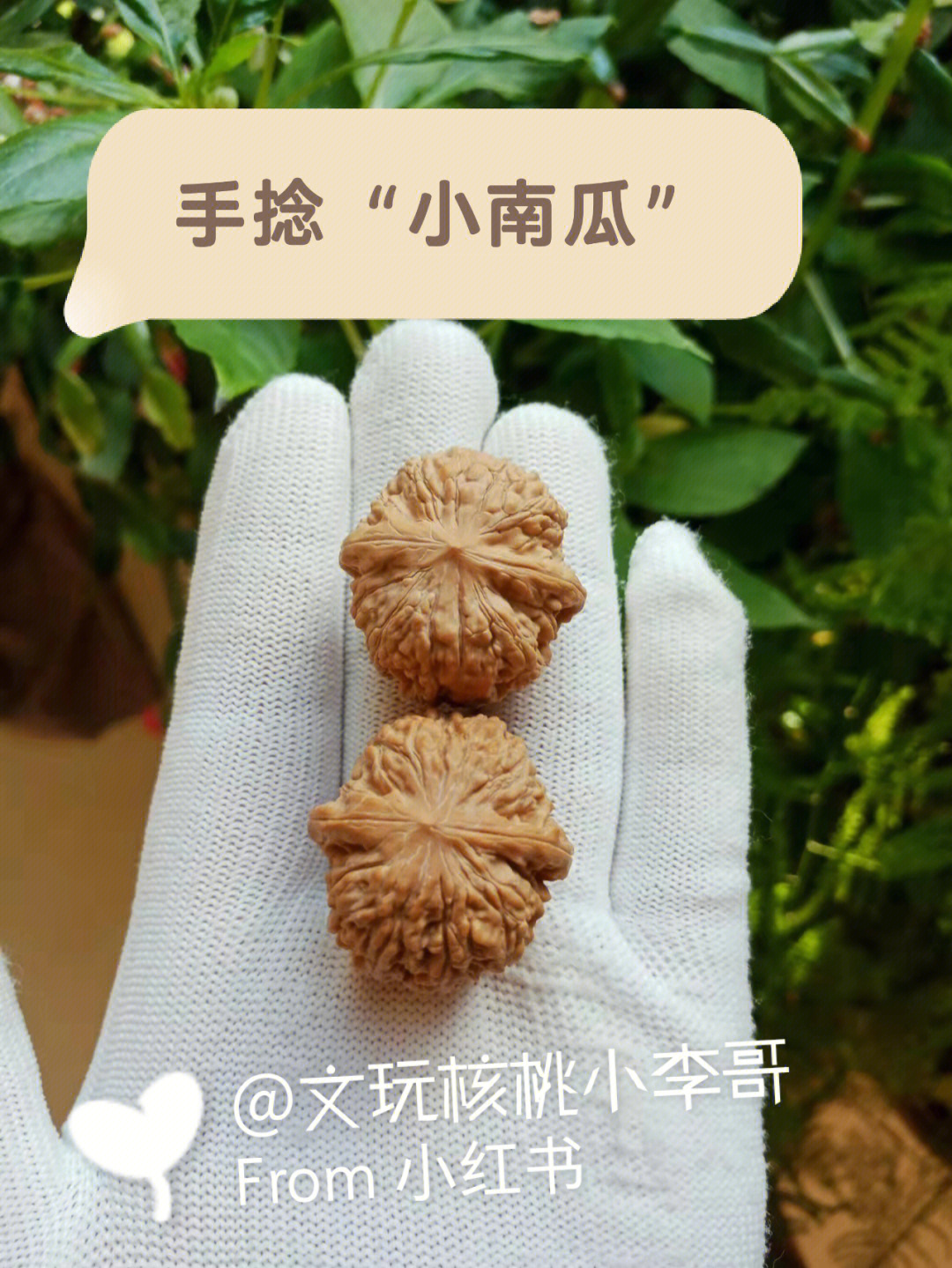 南瓜墩文玩核桃介绍图片