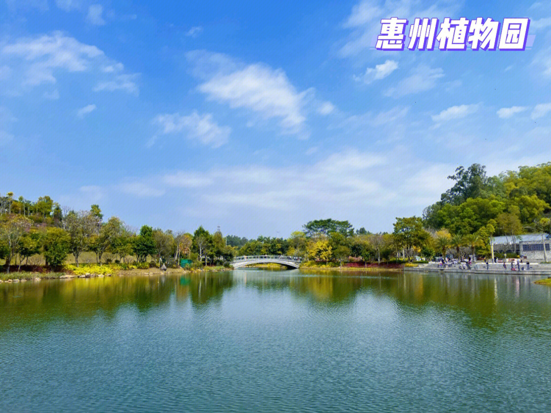 惠州植物园一日游惠州免费景点