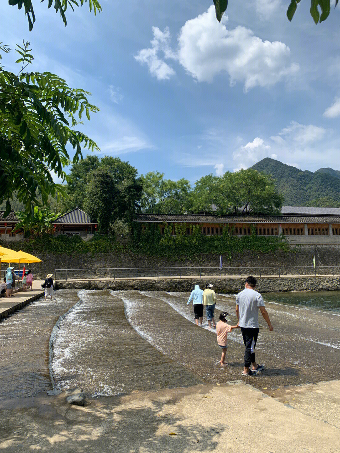 黄山杨家寨景区门票图片