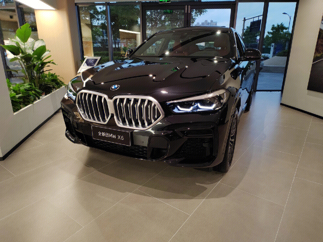 bmwx6