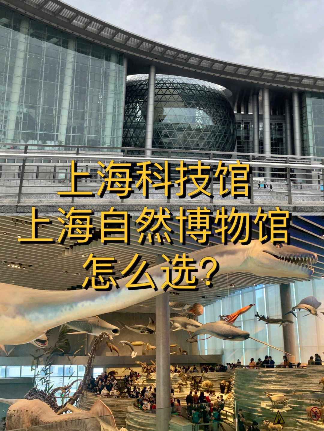 上海科技馆和上海自然博物馆选哪个