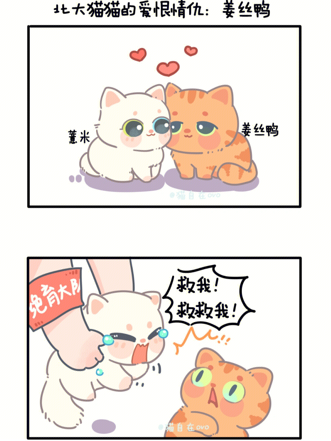 自制漫画北大猫猫的爱恨情仇之姜丝鸭