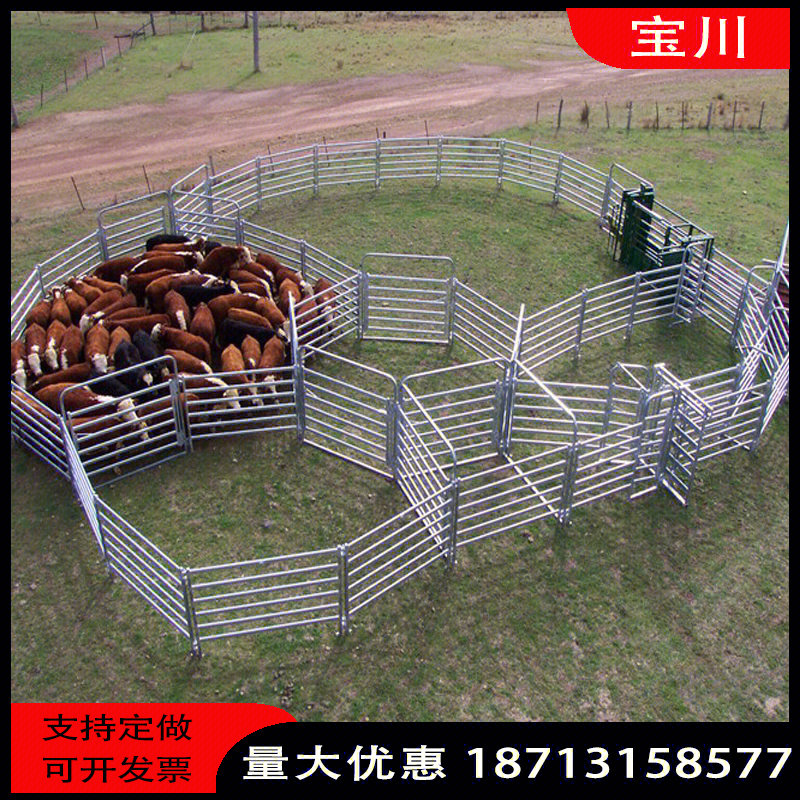 牛马羊护栏养殖围栏畜牧栅栏保定架防疫通道