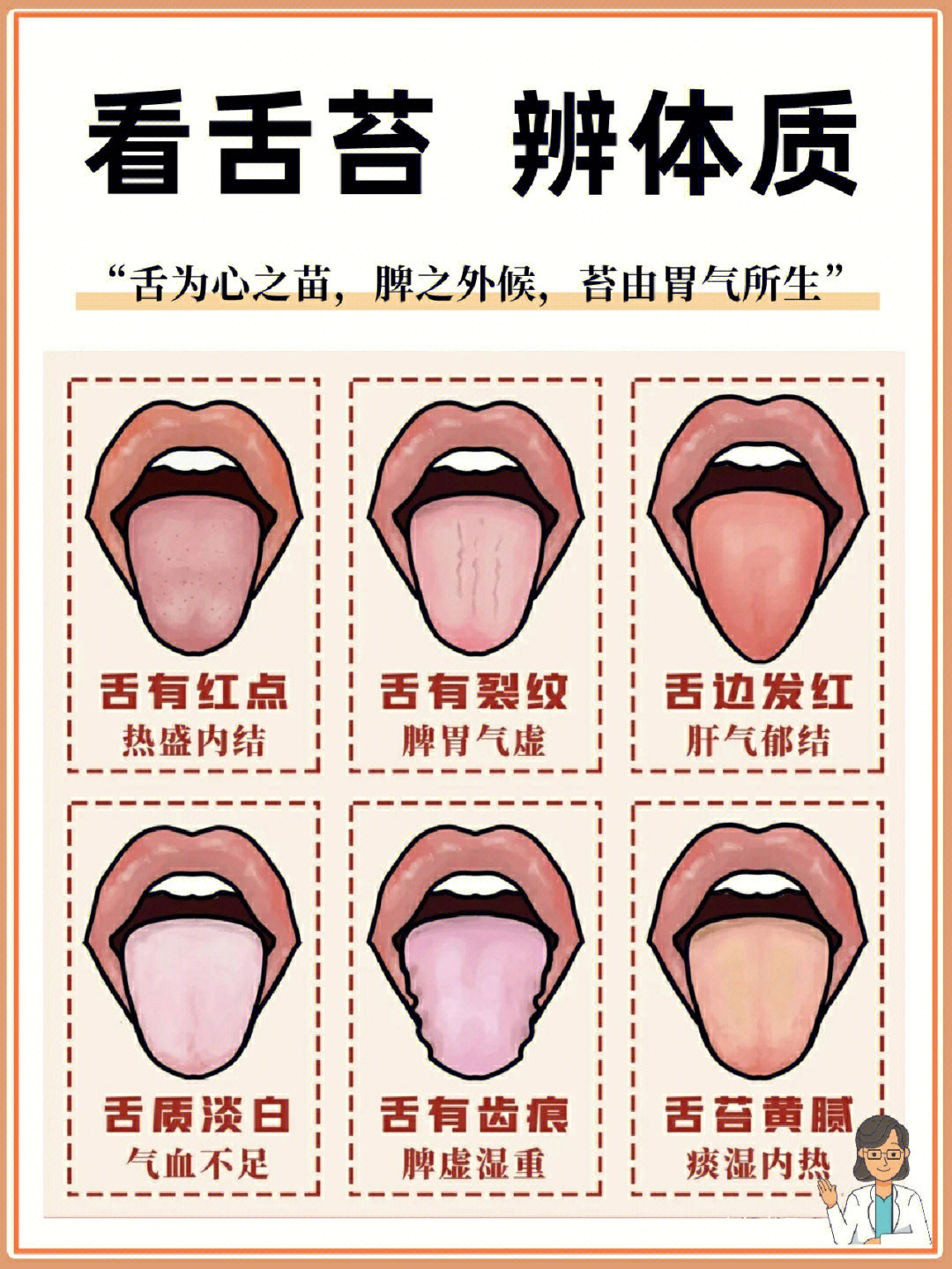 舌头的五脏划分画图图片