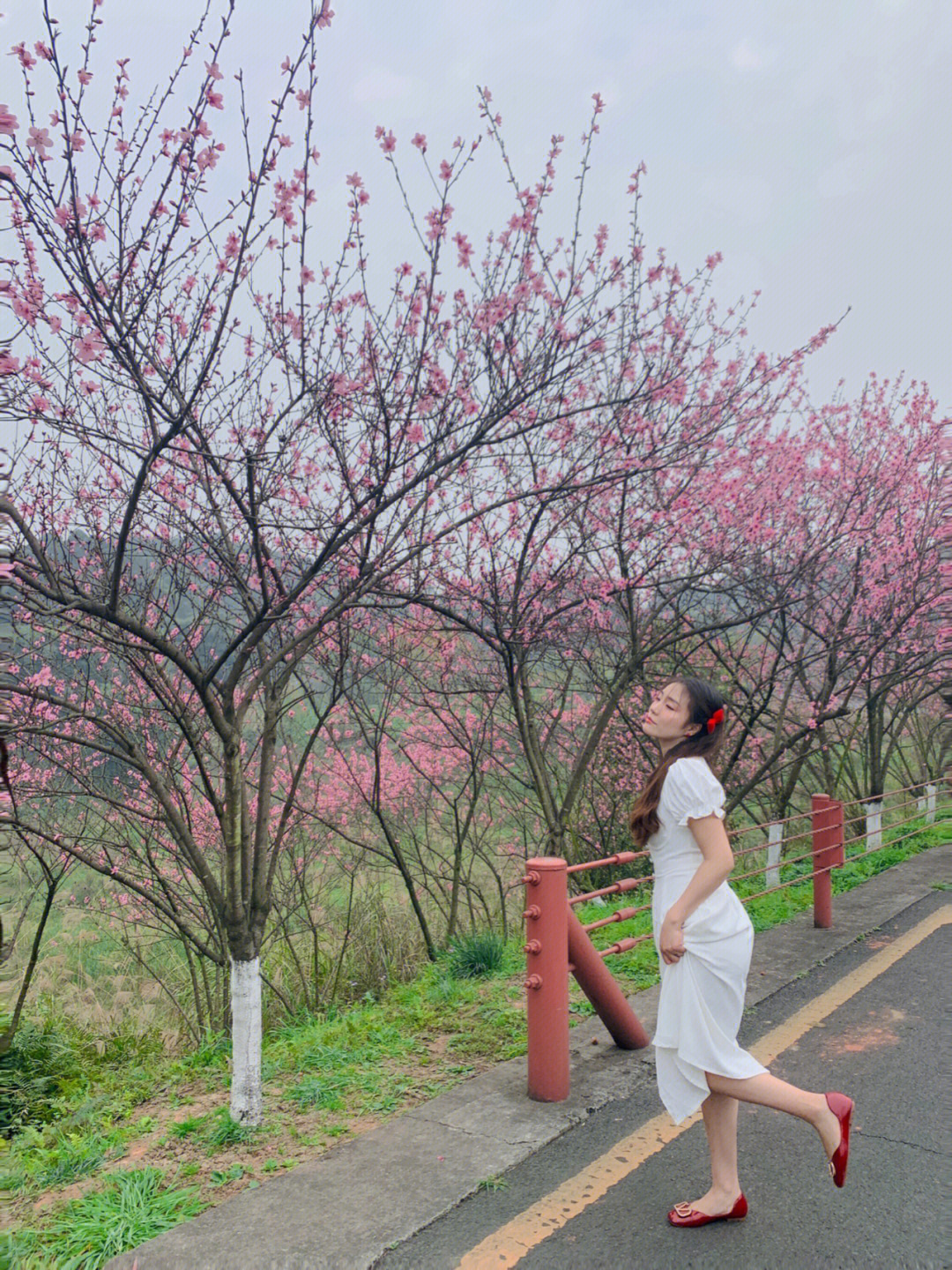 乐山拍照圣地┃绿心路的桃花茬茬开