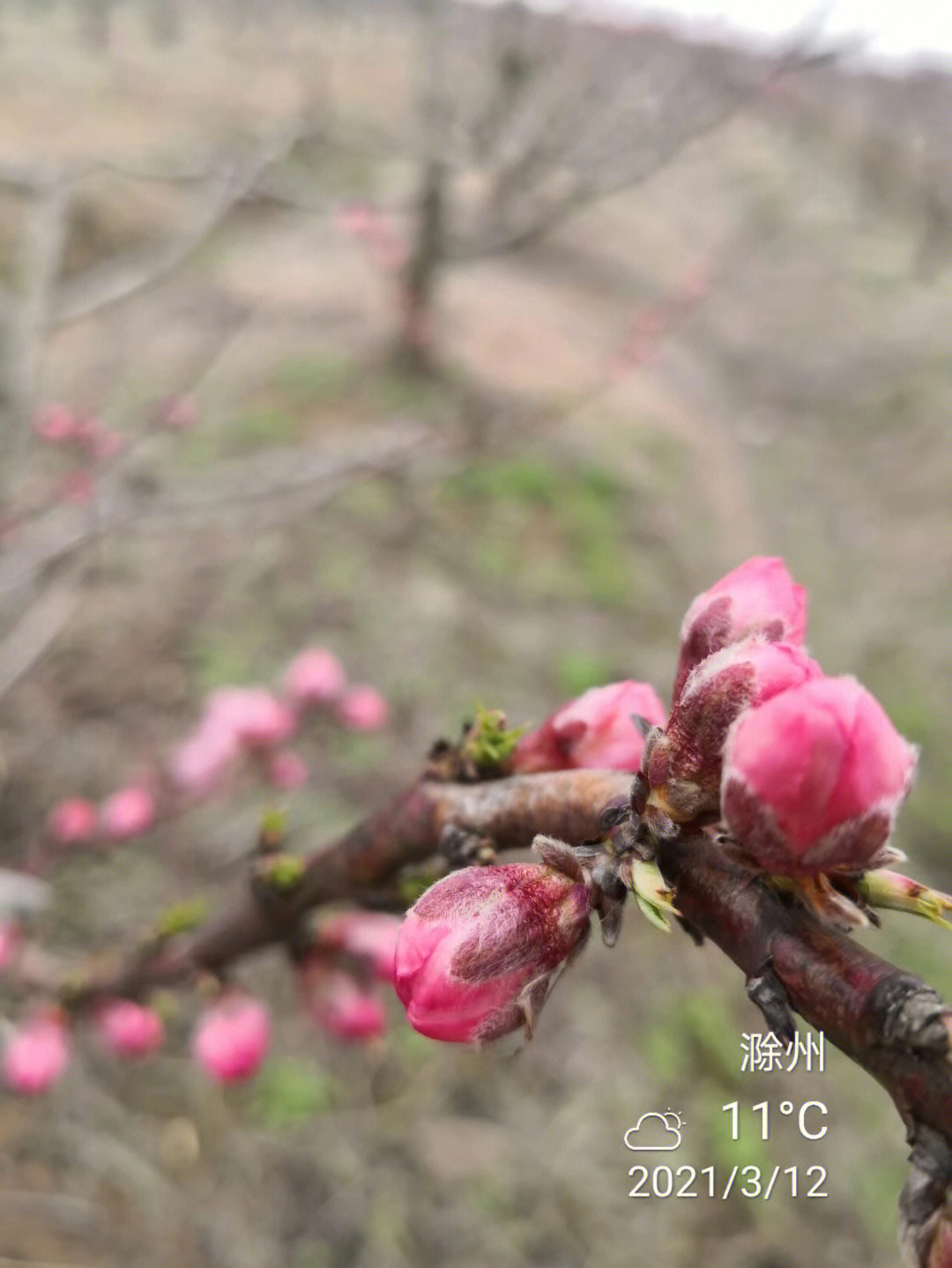 容易莫摧残加班使我苍老