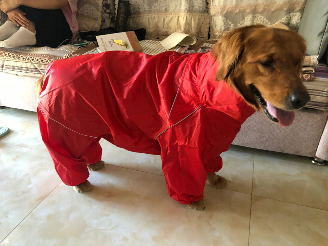 狗狗雨衣制作过程图解图片