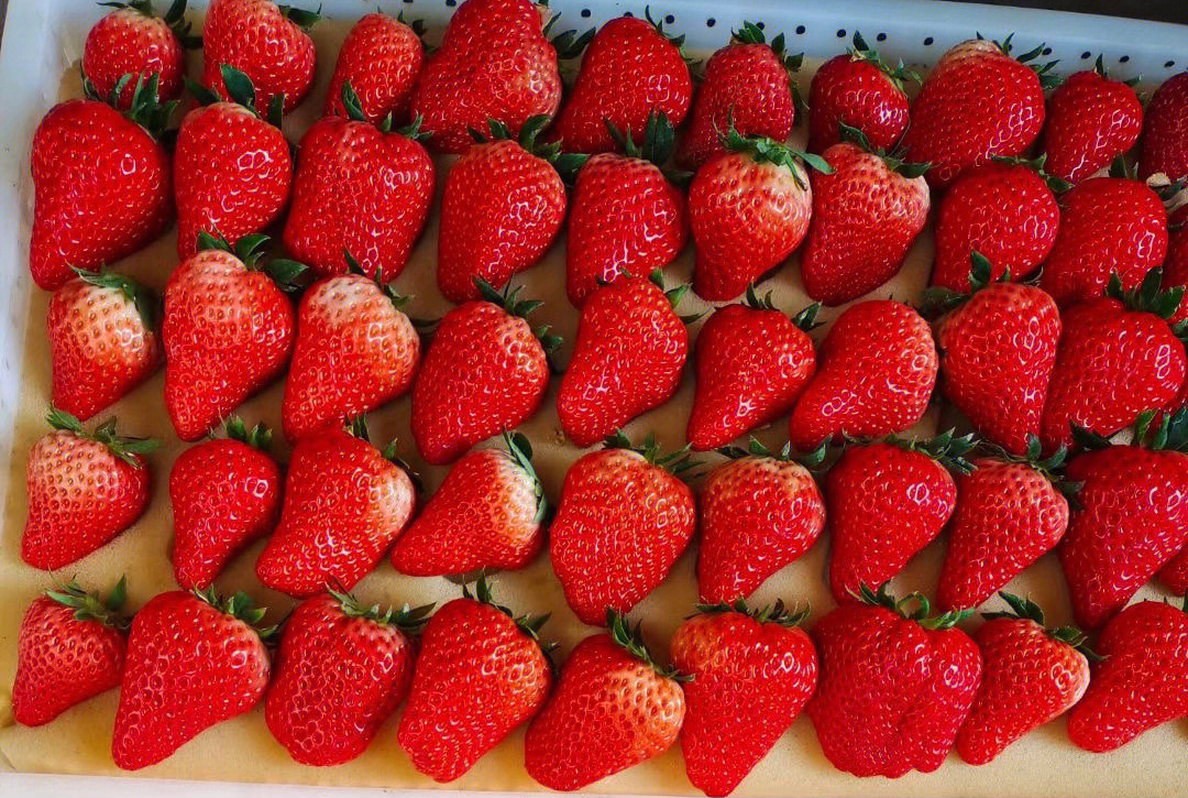 草莓大小图片