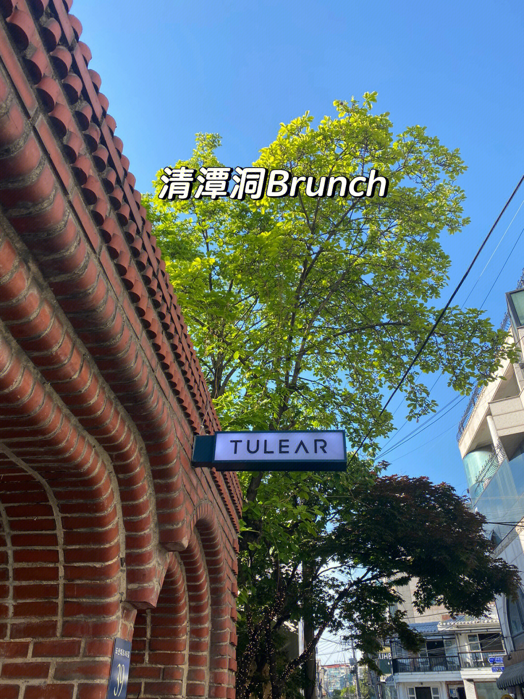 韩国江南清潭洞brunch