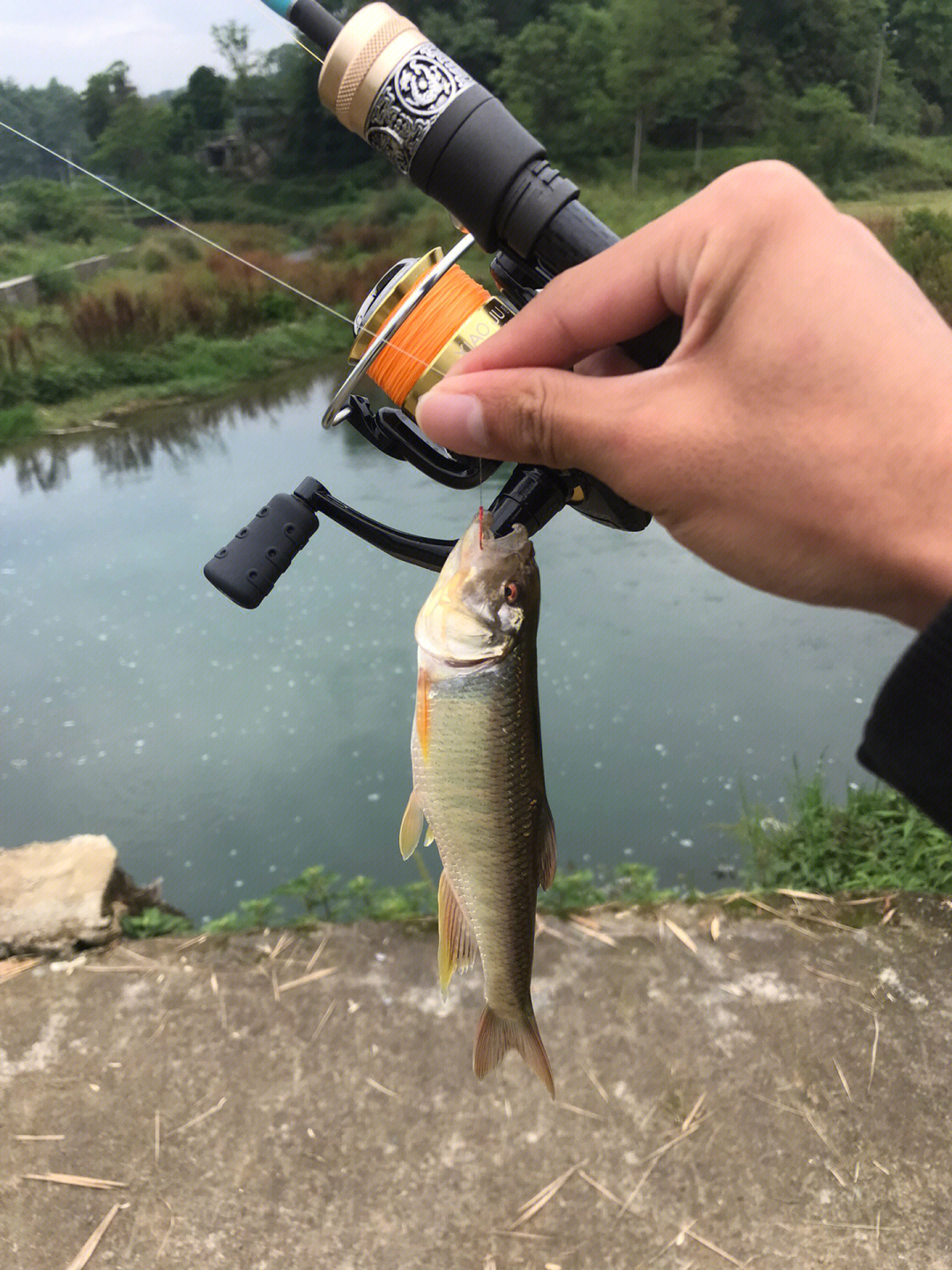 遵义小河沟  彩马