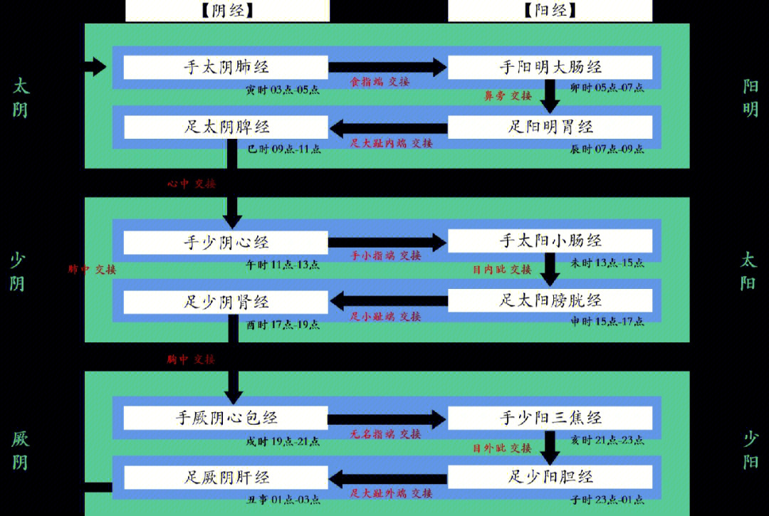 打通阴跷脉图片