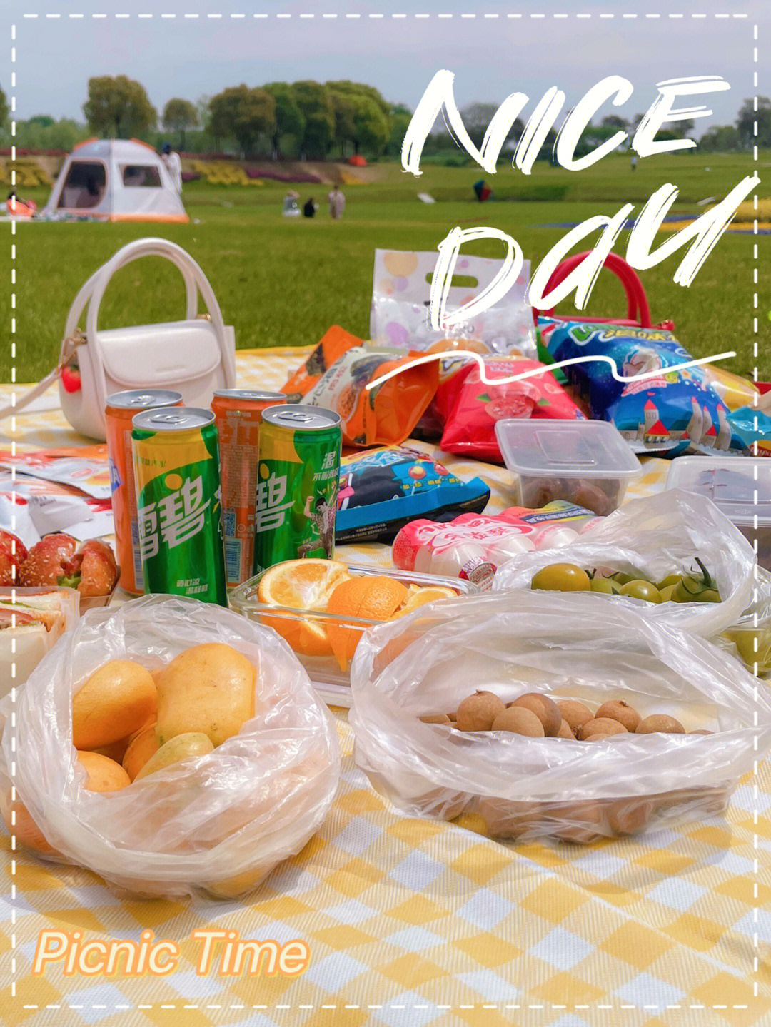 picnictime图片