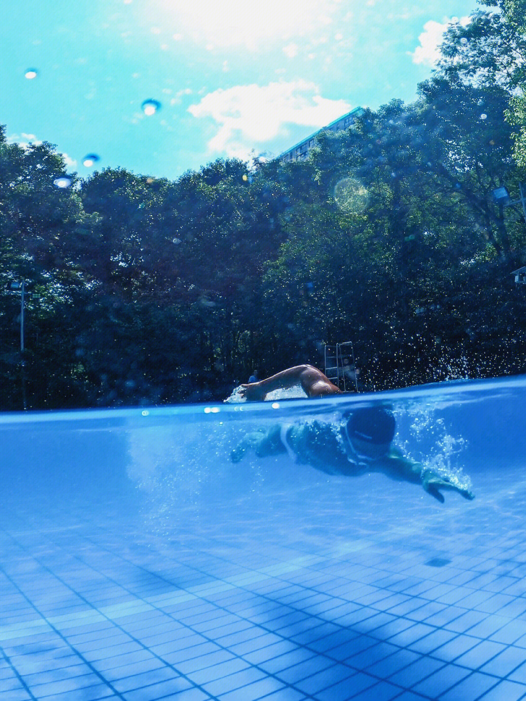 阳光灿烂的日子泳池图片