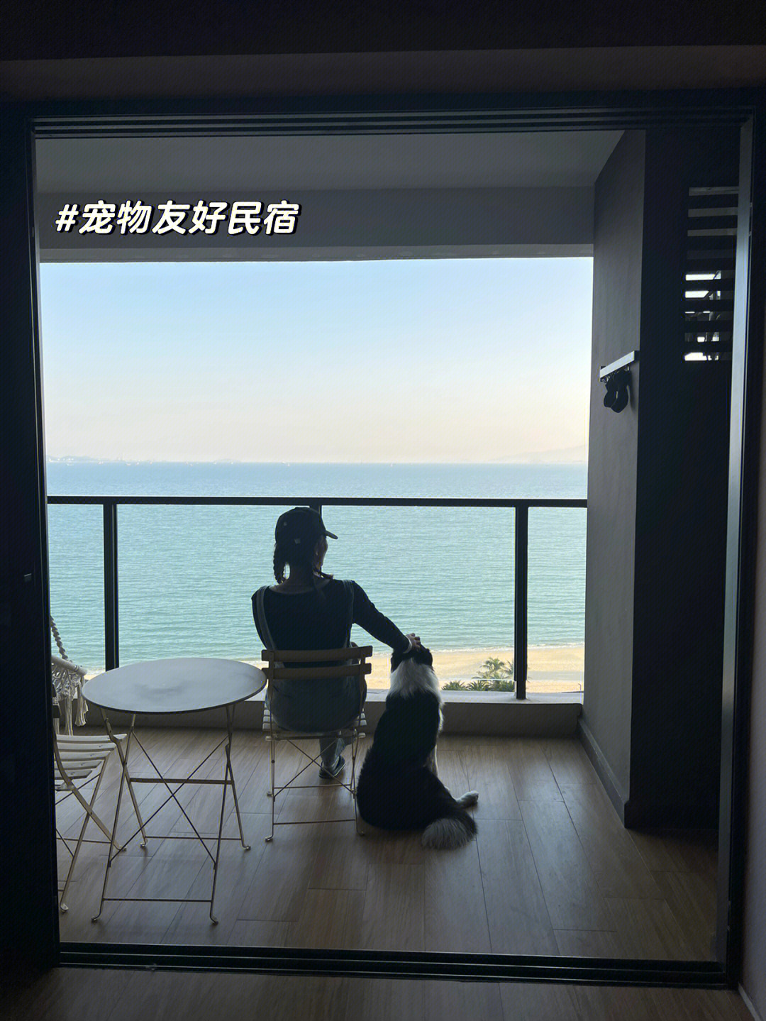 深圳遛狗踏浪看海