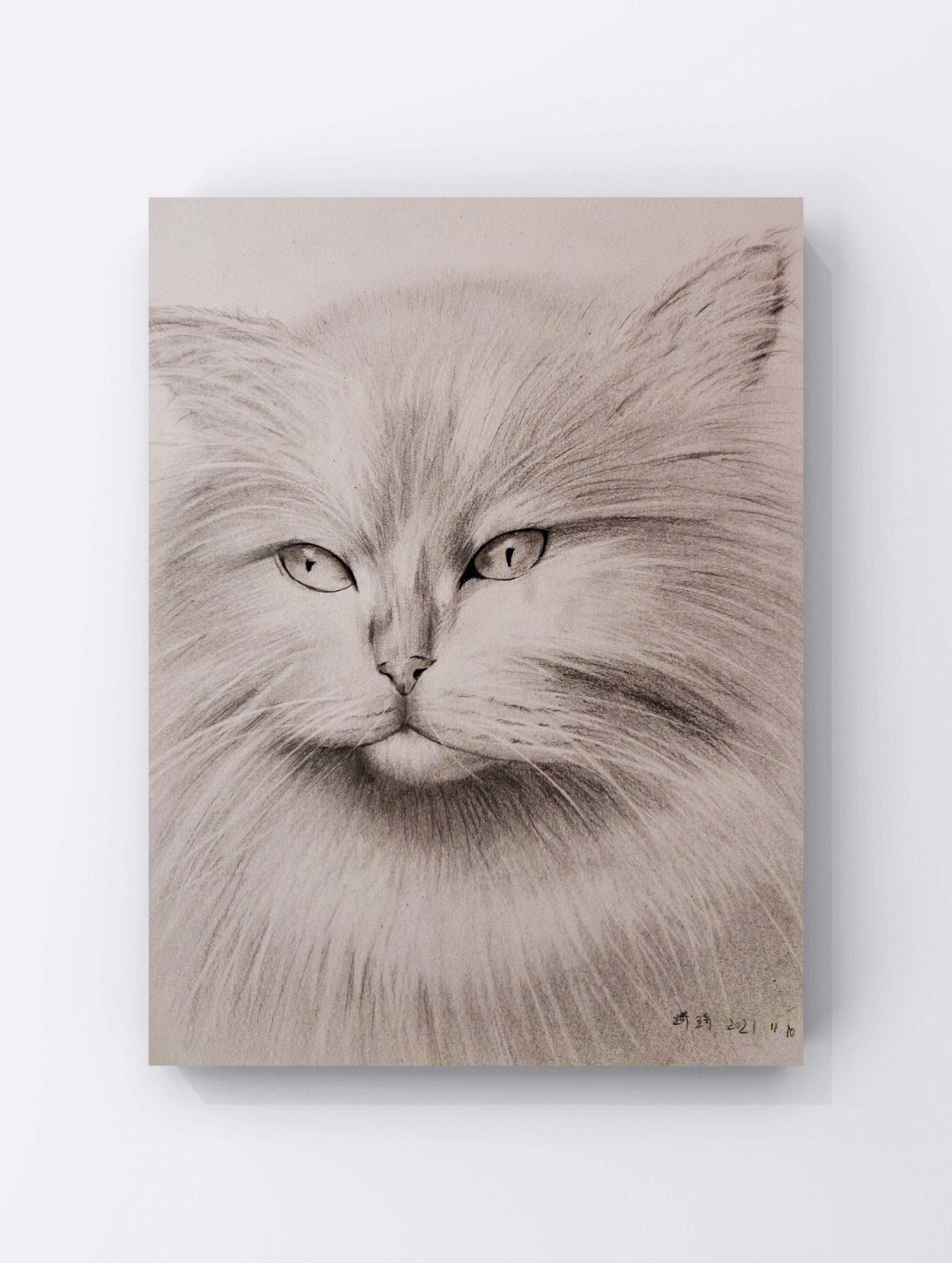 猫素描初级画画法图片