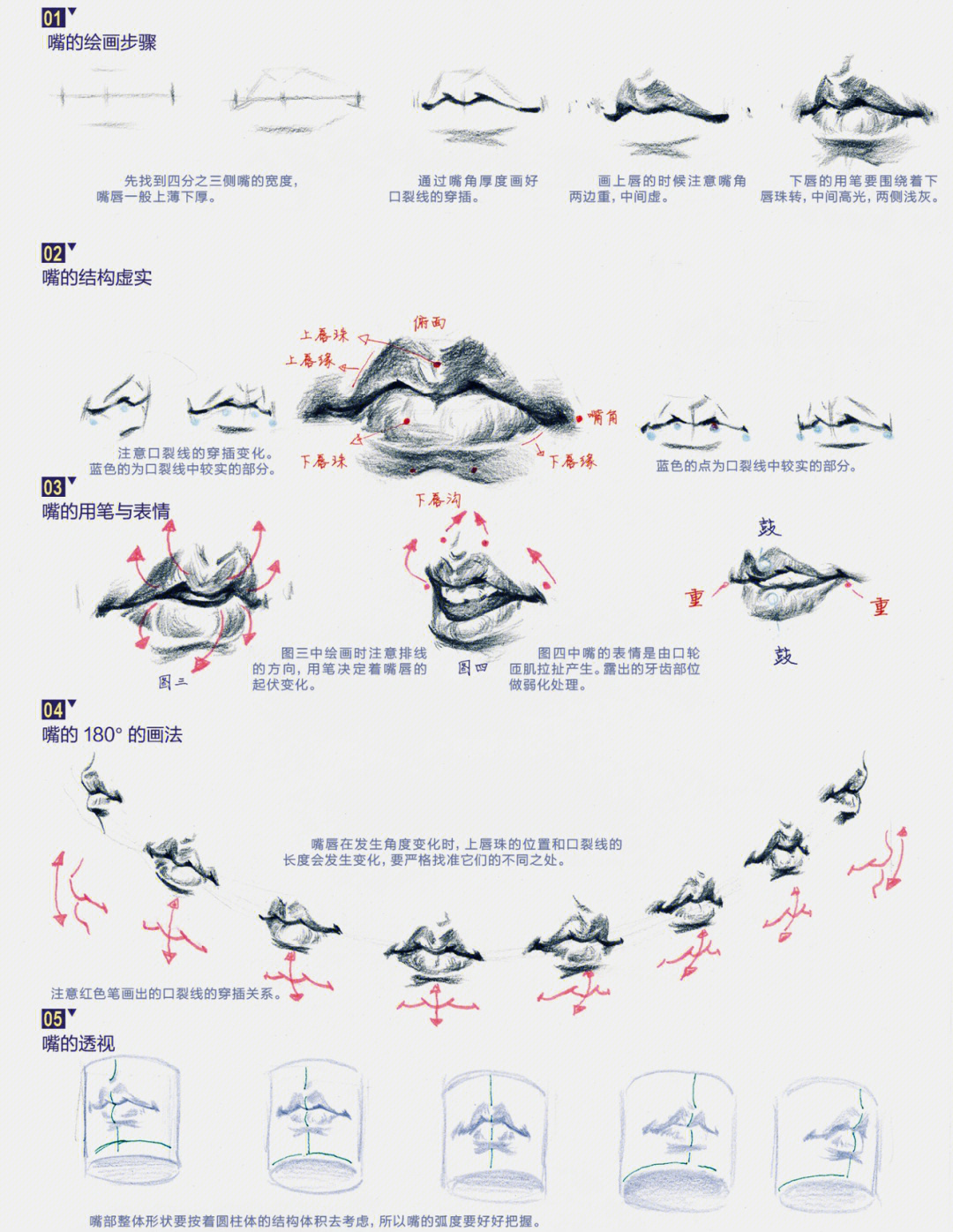 速写头部结构步骤教案图片