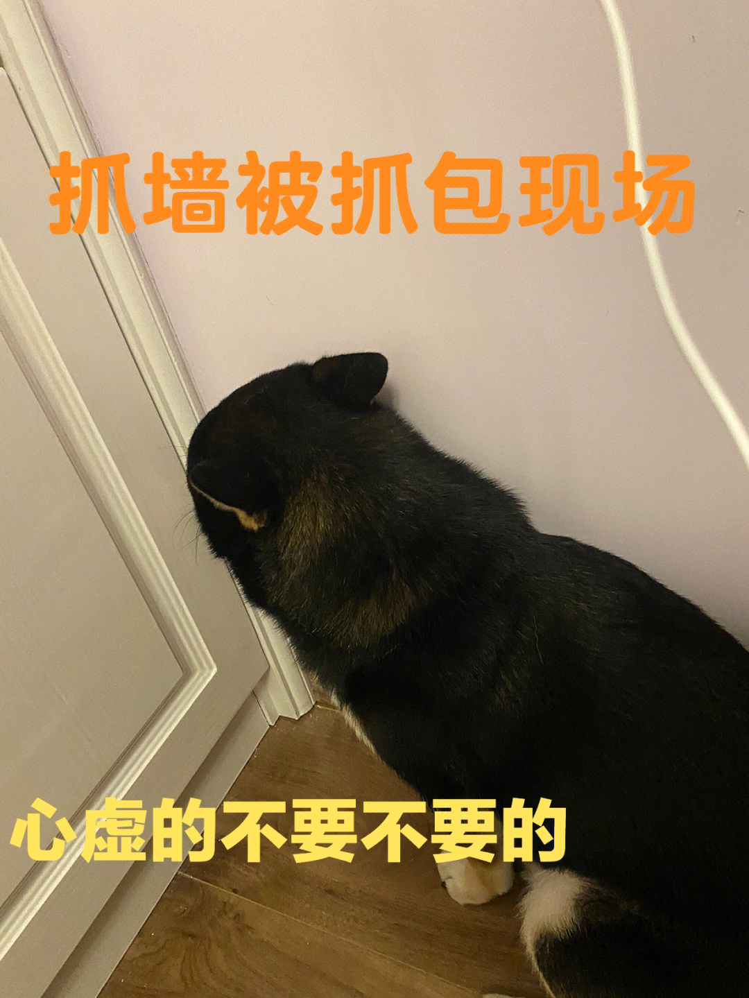 我错了虚心虚心接受坚决不改