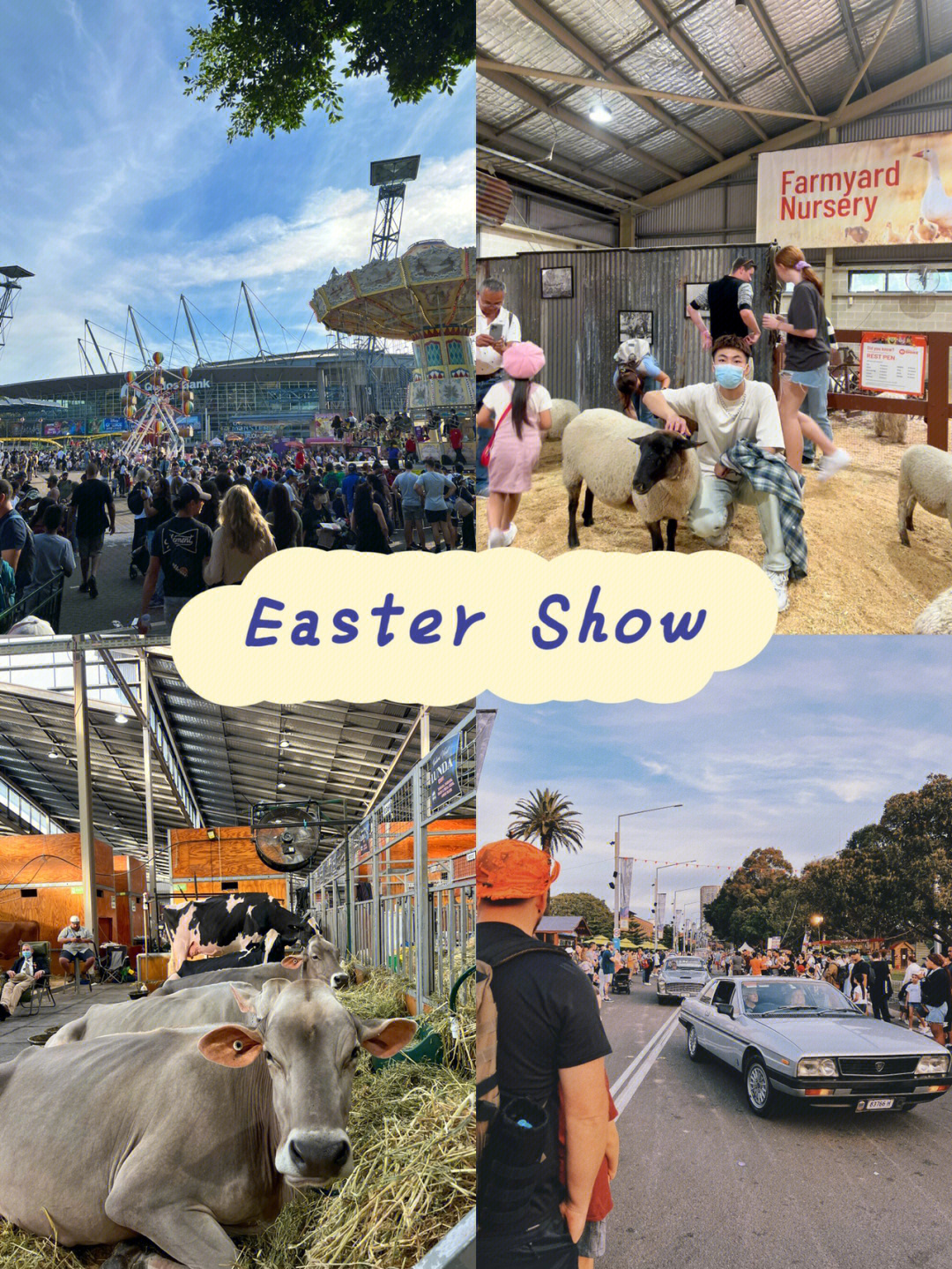 royal easter show图片