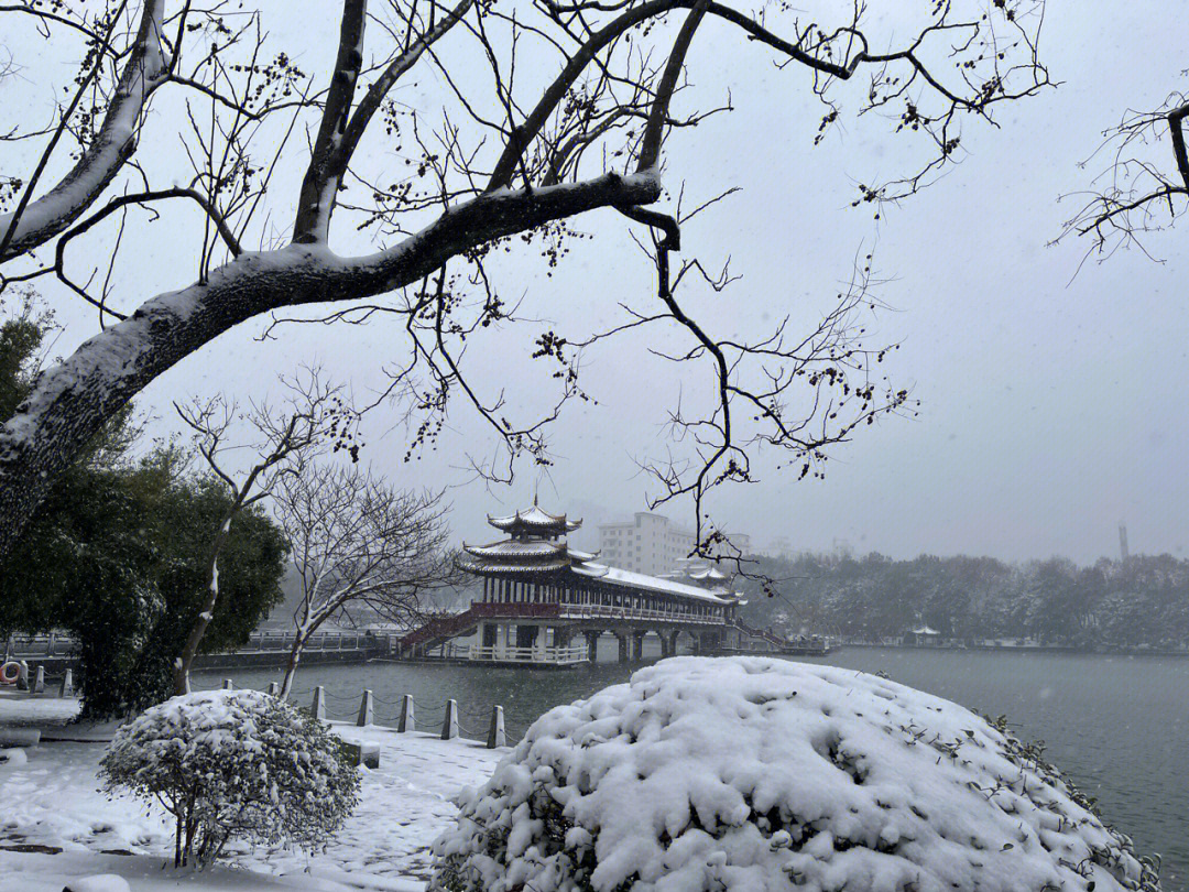 冬游雪景76烈士公园每帧如画