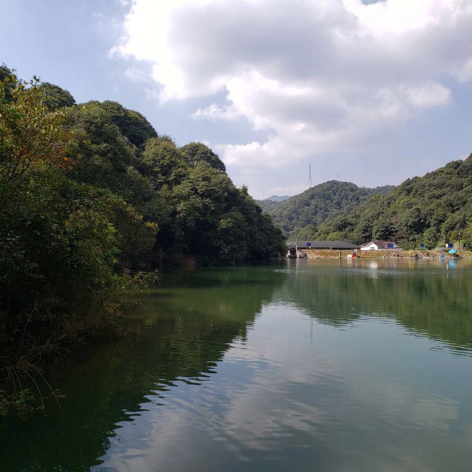 杭州钓鱼难得的野钓去处