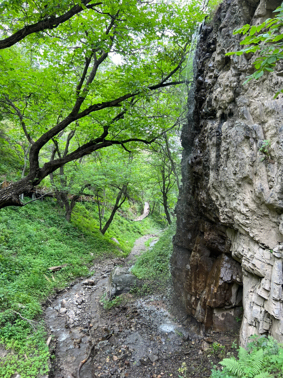 77新疆第7天恰西未遂转道巩留野核桃沟