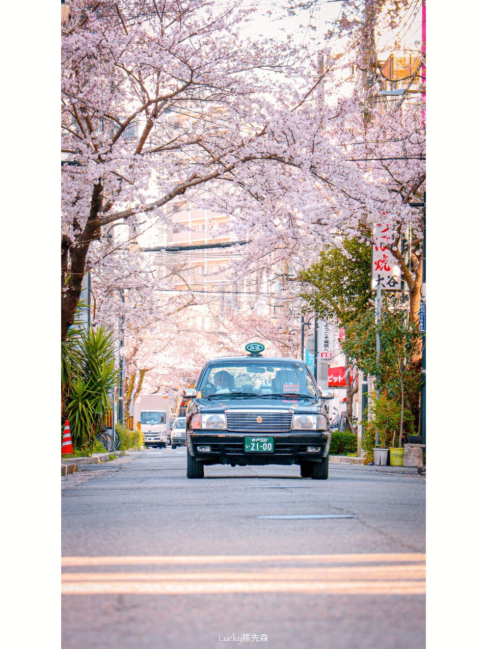 佳能200d27718135拍樱花街景