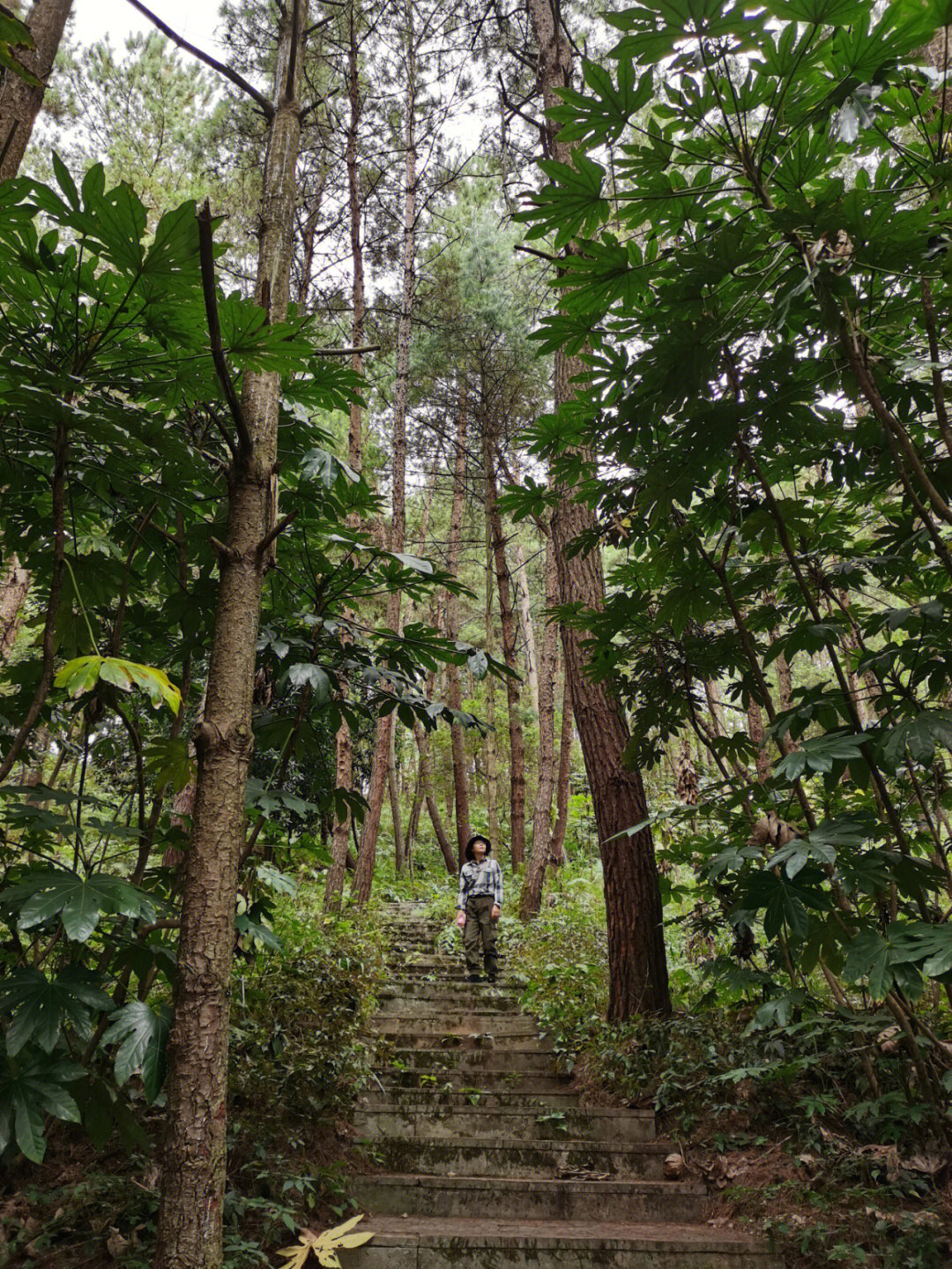 湘潭盘龙山公园图片