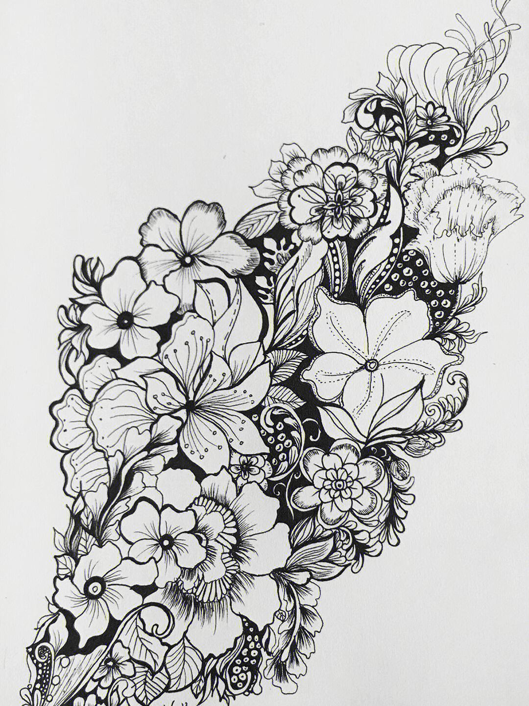 针管笔手绘花卉系列