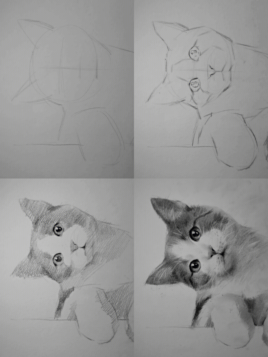 小猫画法 可爱图片