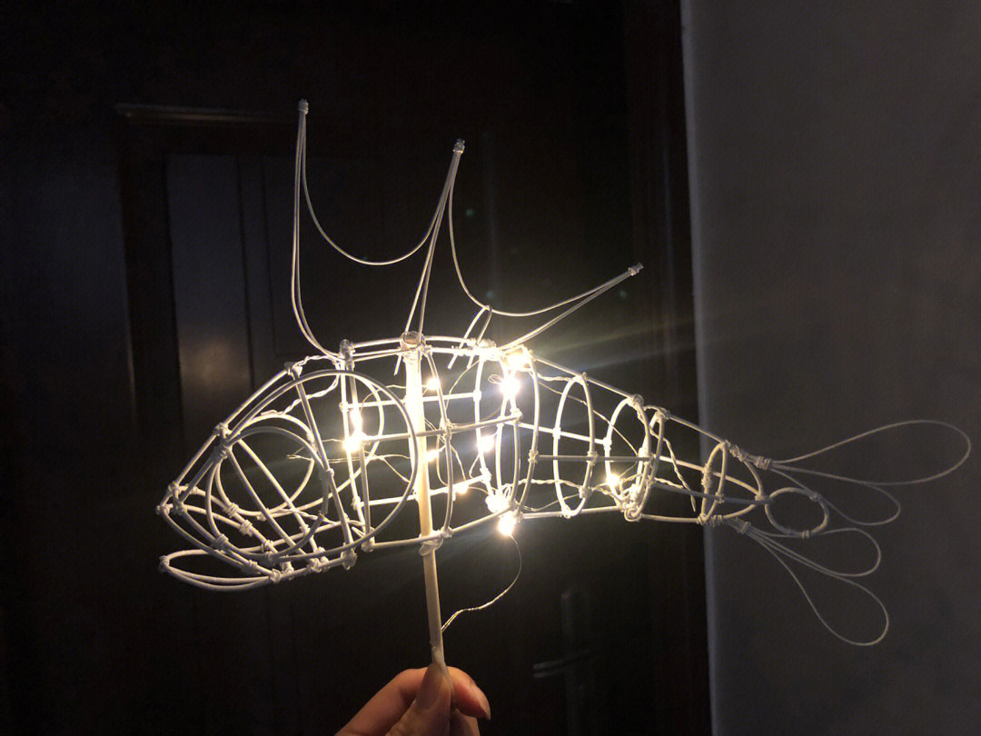 鱼灯制作流程图片