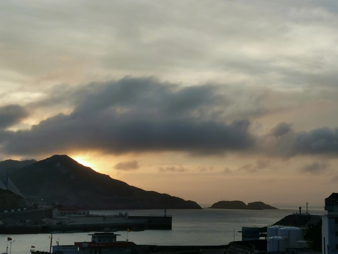 海岛枸杞嵊山