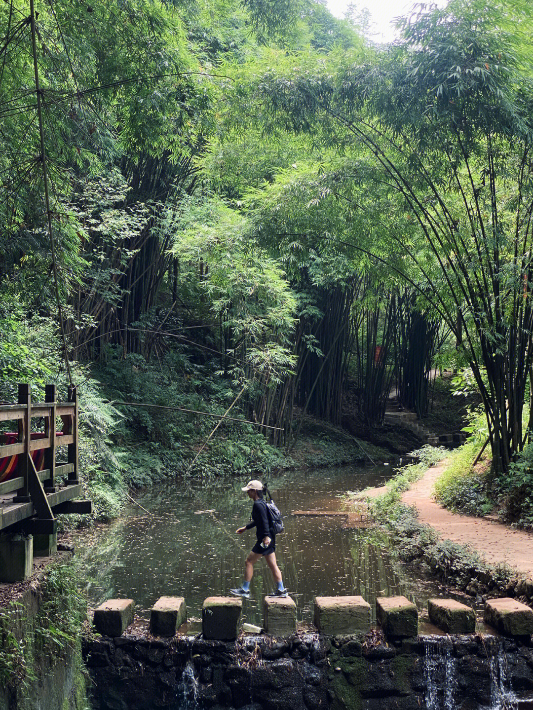 二刷凤栖山康道