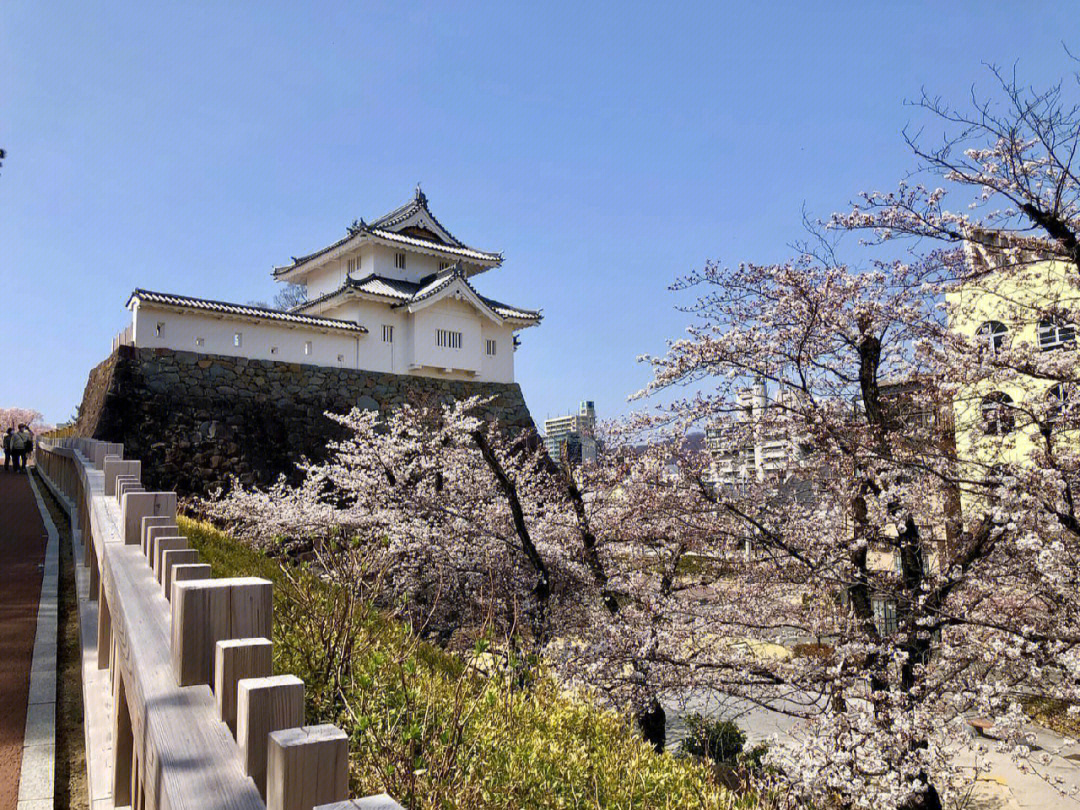 甲府市是日本山梨县首府城市,地处山间盆地,市区地势平坦,属于温带