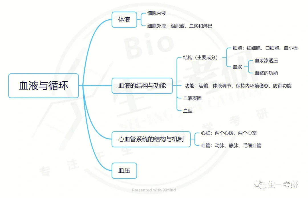 体循环的静脉思维导图图片