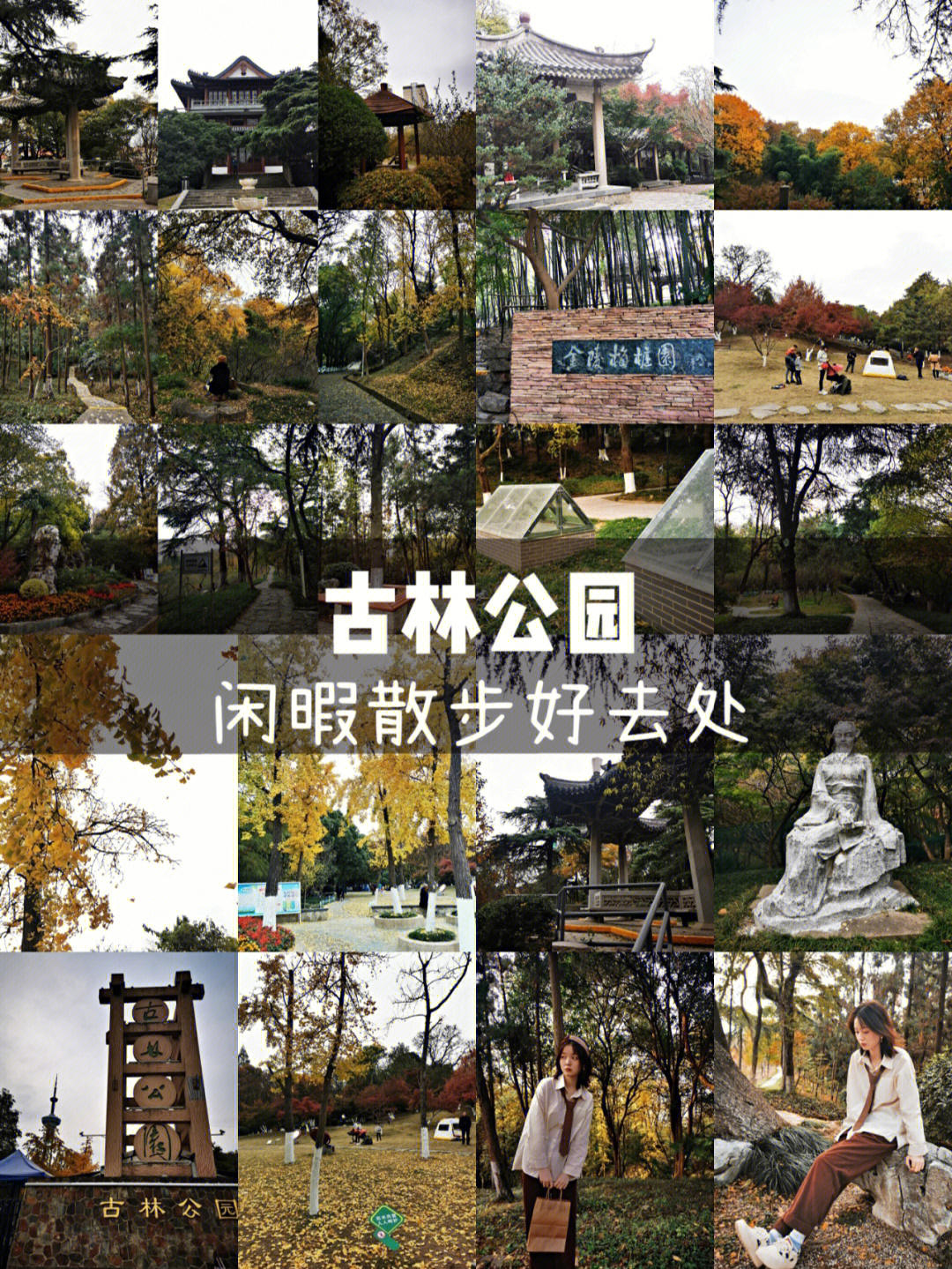 南京古林公园地址图片