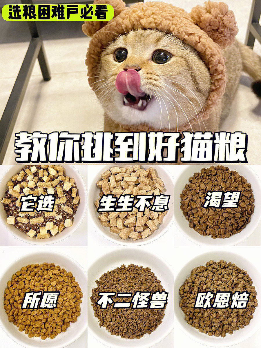 说一说你买过的毒猫粮72