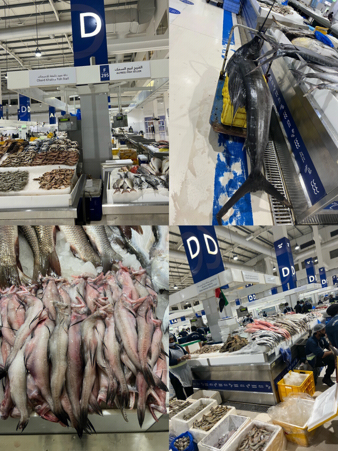 迪拜海鲜市场