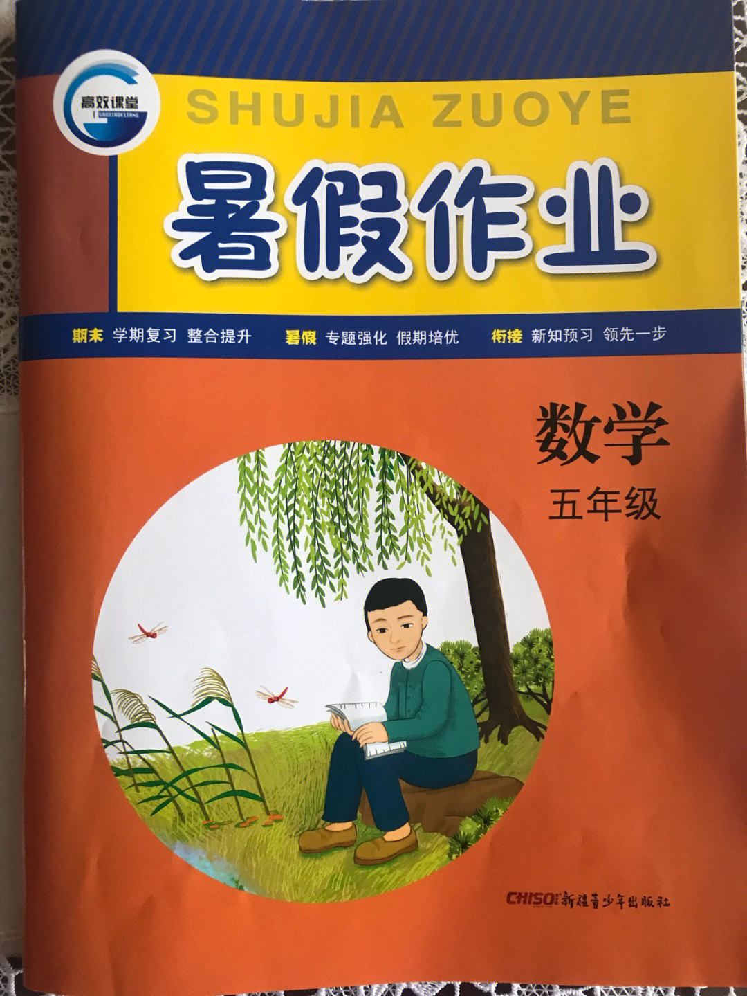 五下数学暑假作业答案