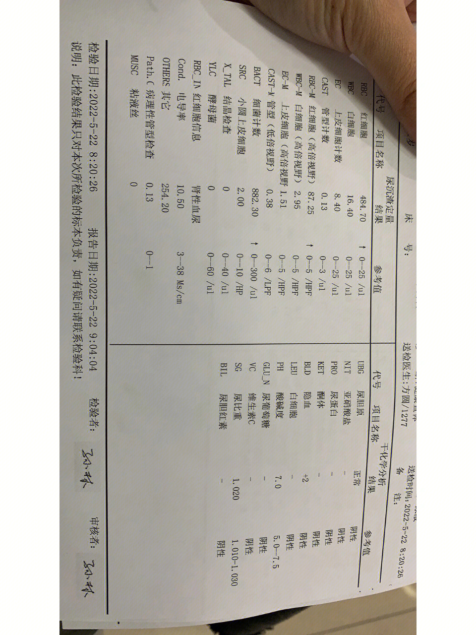 肾穿免疫荧光图片