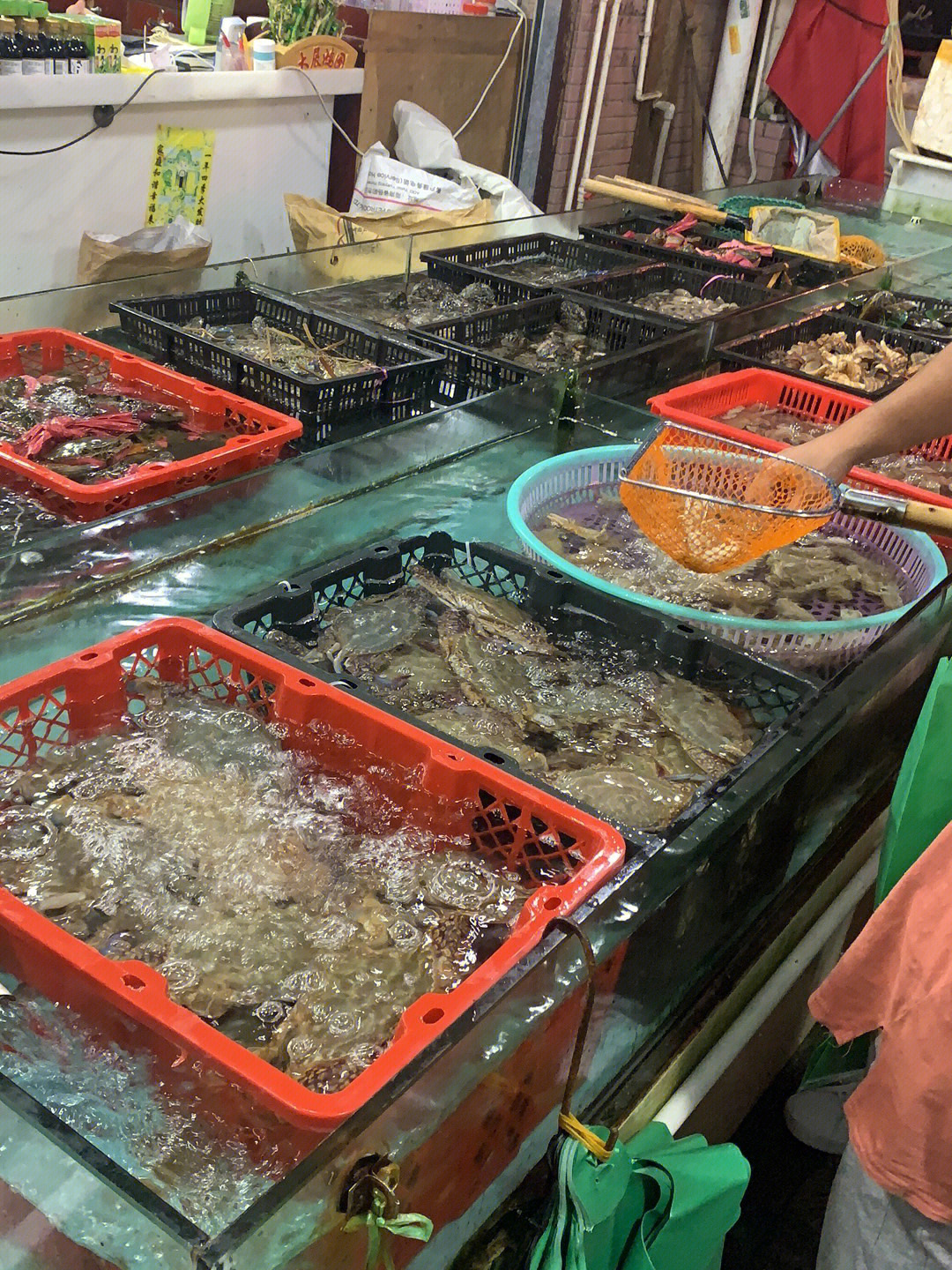 78长沙马王堆海鲜市场