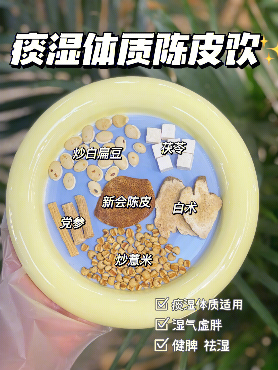 痰湿体质陈皮饮