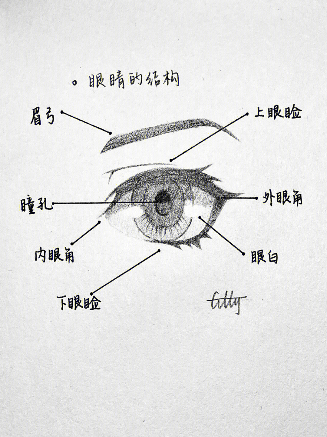 素材取自《动漫人体结构,希望对各位想学眼睛画法的姐妹有帮助图片