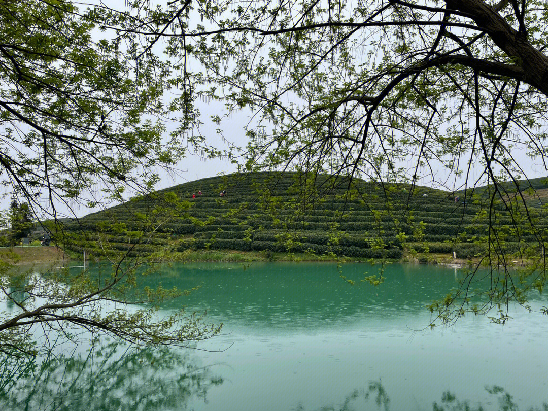 杭州龙坞水库图片