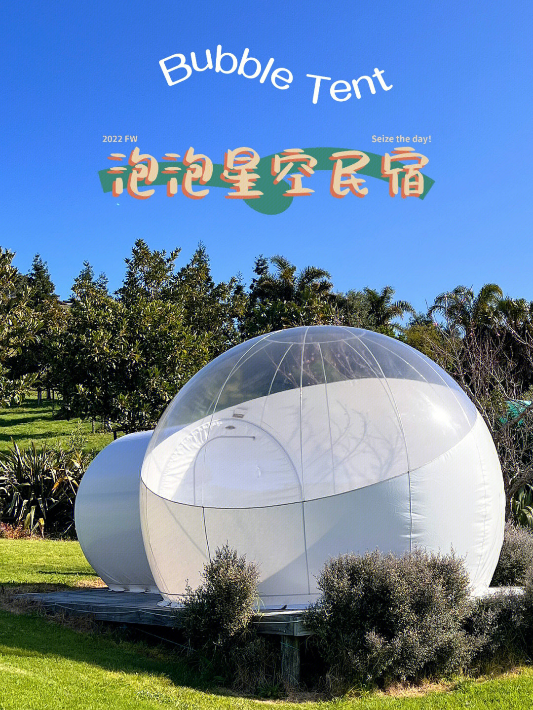 新西兰民宿颜值担当酒庄里的星空泡泡屋