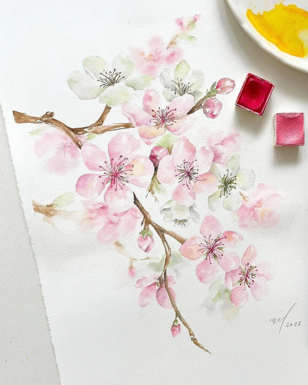 水彩樱花简单图片