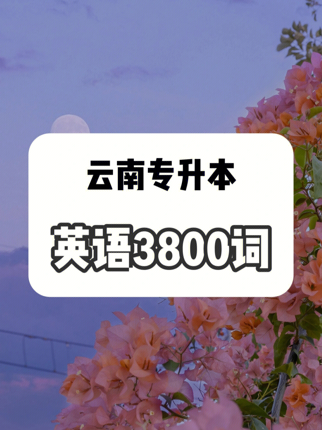 云南专升本英语3800词01