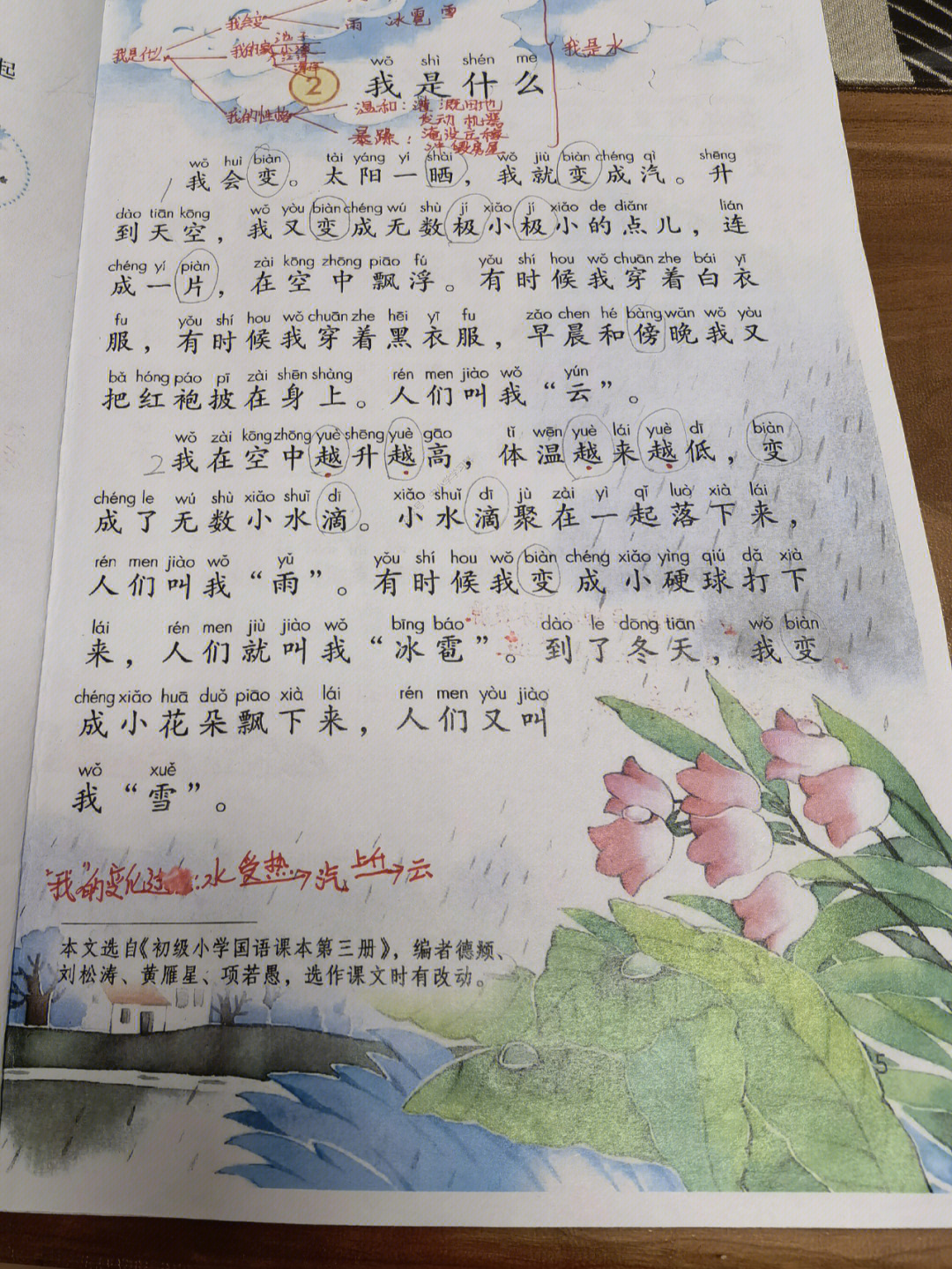 我是什么课文原文图片