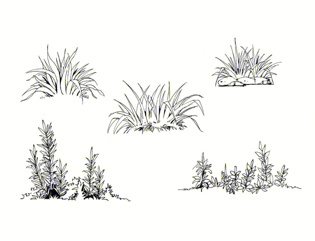 手绘植物风景图片
